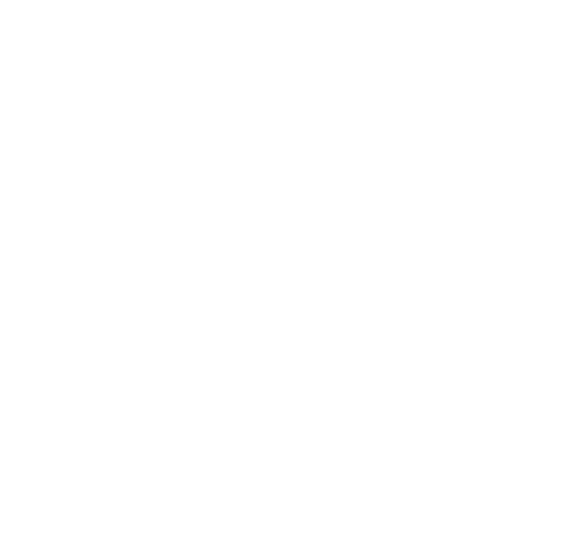 snn